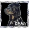 Remy 1